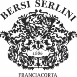 Logo Bersi Serlini